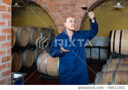 winery worker with glass of wine in cellar. winery worker with glass of wine in cellar. 48612301