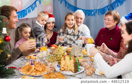 family talking animatedly during Christmas dinner family talking animatedly during Christmas dinner 48612519