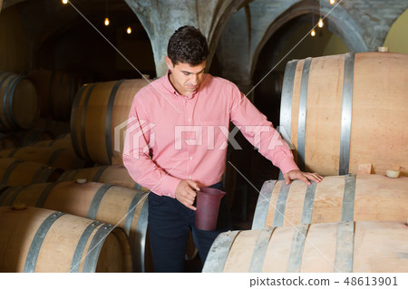 interested man posing in winery cellar 48613901