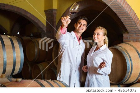 Specialists checking ageing process of wine Specialists checking ageing process of wine 48614072