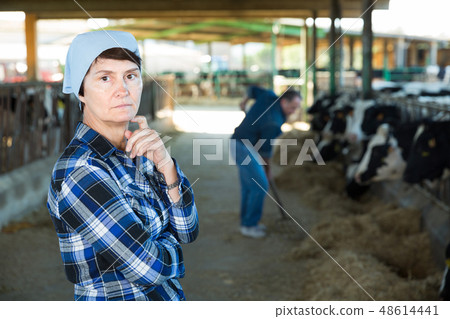 Confident female farmer on cow farm Confident female farmer on cow farm 48614441