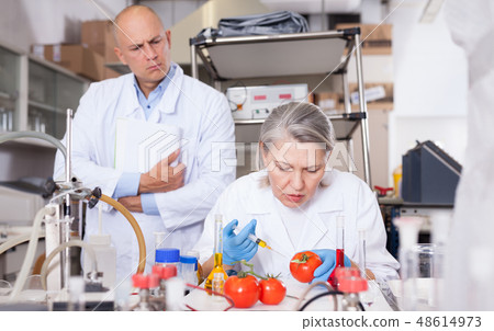 Scientists injecting additives into tomatoes 48614973