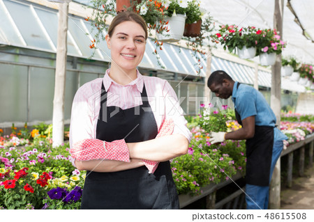 Florist girl working in greenhouse Florist girl working in greenhouse 48615508