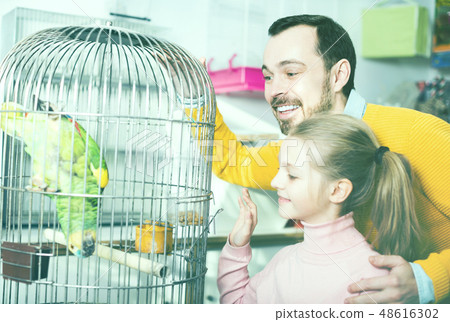 Father and girl looking at green parrot in pet store Father and girl looking at green parrot in pet store 48616302