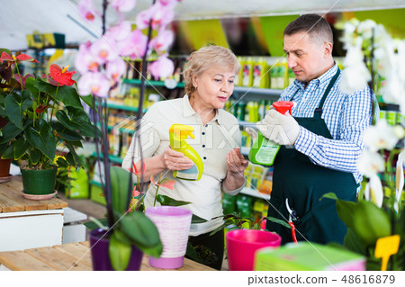 Two gardener are choosing substances for care of flowers in greenhouse. Two gardener are choosing substances for care of flowers in greenhouse. 48616879