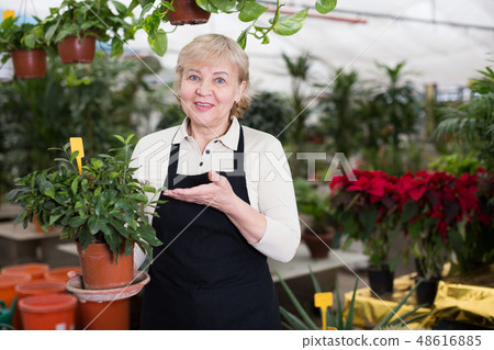 Portrait of female gardener with blooming flower who is working Portrait of female gardener with blooming flower who is working 48616885