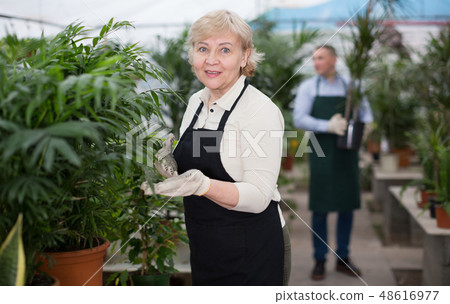 Portrait of female gardener with blooming flower who is taking care of them Portrait of female gardener with blooming flower who is taking care of them 48616977