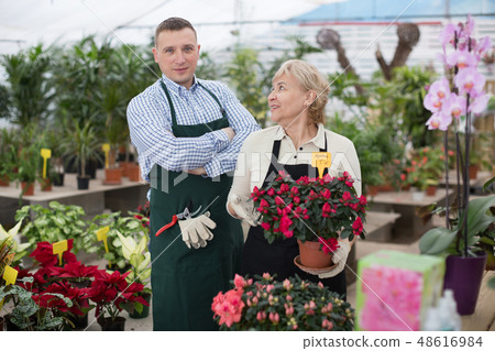 Portrait of two gardener with blooming flower who are working together Portrait of two gardener with blooming flower who are working together 48616984