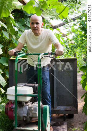 Gardener working in glasshouse Gardener working in glasshouse 48617071