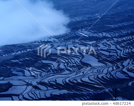雲南,元,中國水稻梯田,多一樹水稻梯田,元陽 雲南,元,中國水稻梯田,多一樹水稻梯田,元陽 48617224