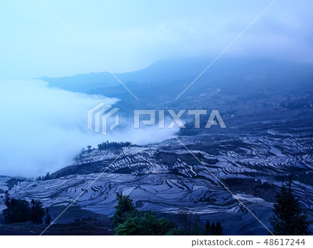 雲南,元,中國水稻梯田,多一樹水稻梯田,元陽 雲南,元,中國水稻梯田,多一樹水稻梯田,元陽 48617244