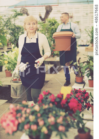 Portrait of female gardener with blooming flower who is taking care of them Portrait of female gardener with blooming flower who is taking care of them 48617668