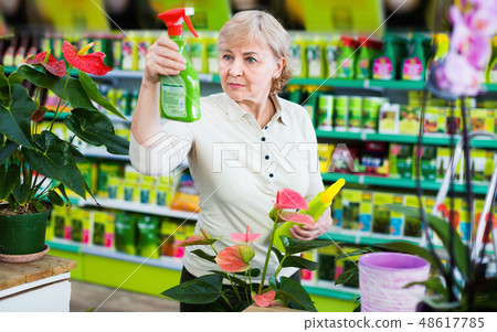 Adult female gardener is choosing substances for flowers in greenhouse. Adult female gardener is choosing substances for flowers in greenhouse. 48617785