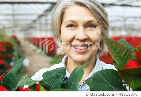 Closeup portrait of female florist with poinsettia Closeup portrait of female florist with poinsettia 48618376