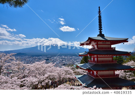 Yamanashi Shinurakuyama櫻花在淺間公園和富士山以及五層寶塔 Yamanashi Shinurakuyama櫻花在淺間公園和富士山以及五層寶塔 48619335