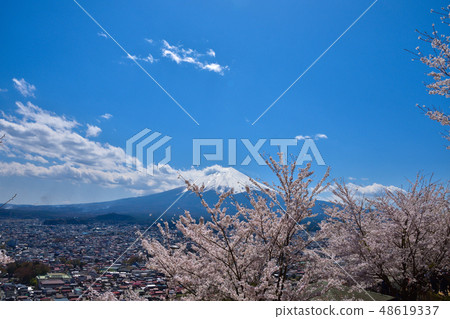 山中神奈山櫻花和淺間公園的富士山 山中神奈山櫻花和淺間公園的富士山 48619337