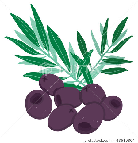 Vector painterly set black olives and green branch Vector painterly set black olives and green branch 48619804