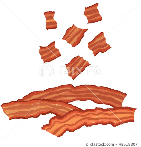 Vector painterly set of bacon, cooked and bits Vector painterly set of bacon, cooked and bits 48619807