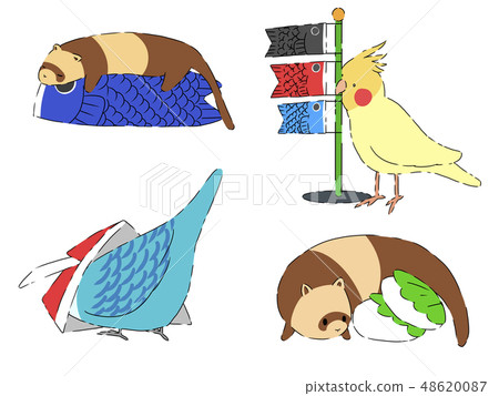 Children's day ferrets and small birds Children's day ferrets and small birds 48620087