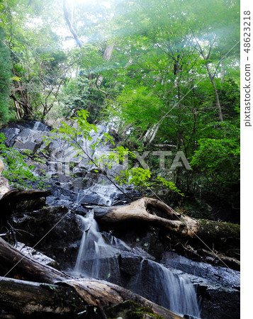 Clear current flowing through the rocky ground 48623218