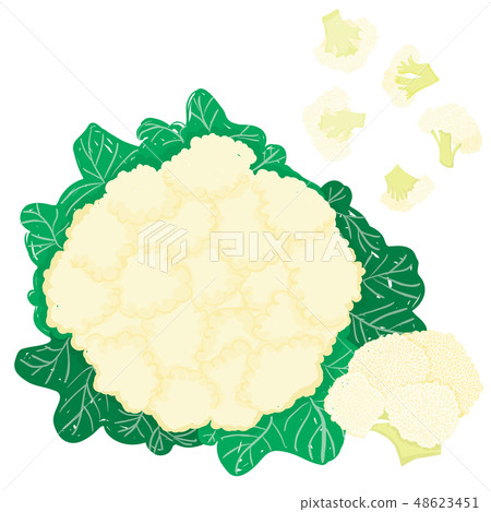 Vector painterly set with whole cauliflower 48623451