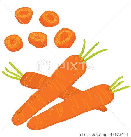 Vector painterly whole carrots, raw and sliced Vector painterly whole carrots, raw and sliced 48623454
