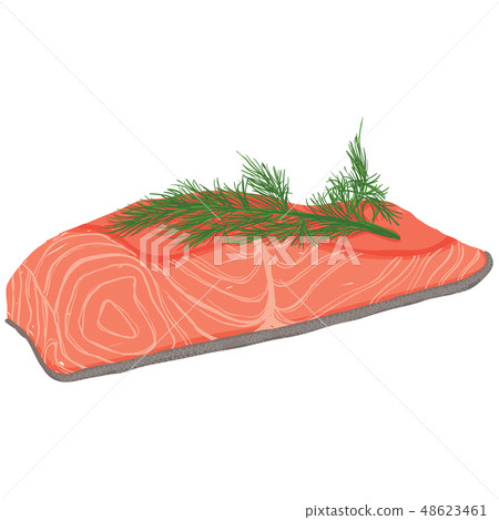 Vector painterly set of raw salmon fish fillet. Vector painterly set of raw salmon fish fillet. 48623461