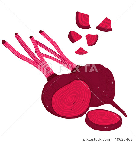 Vector set of beets, beetroot, raw and cutted 48623463