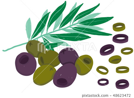 Vector painterly black and green olives with bits Vector painterly black and green olives with bits 48623472