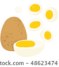 Vector painterly egg, halved hard boiled, sliced 48623474
