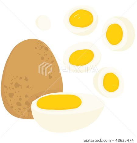 Vector painterly egg, halved hard boiled, sliced 48623474