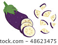 Vector painterly whole eggplant, sliced, chopped 48623475