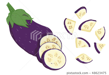 Vector painterly whole eggplant, sliced, chopped 48623475