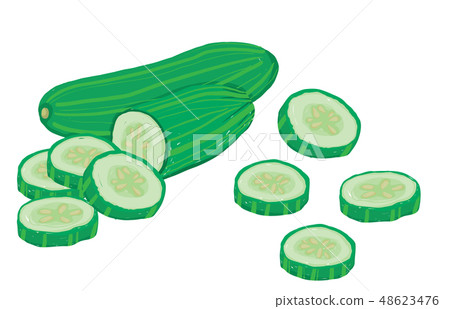 Vector painterly set of cucumbers, raw and sliced. Vector painterly set of cucumbers, raw and sliced. 48623476