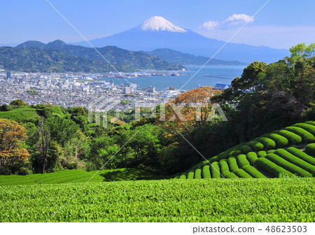Landscape from Nippori-8735 Landscape from Nippori-8735 48623503