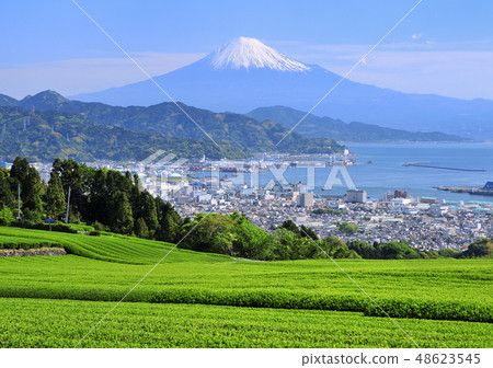 來自Nippori-8706的景觀 48623545