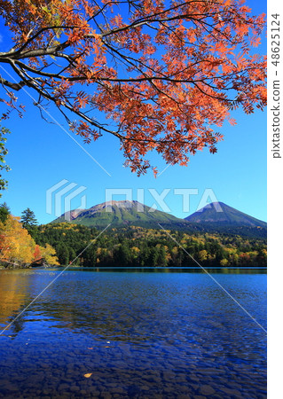 Onnato Mt. Ukudake的秋葉和赤城富士 48625124