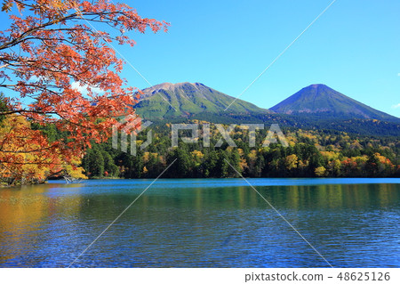 Onnato Mt. Ukudake的秋葉和赤城富士 48625126