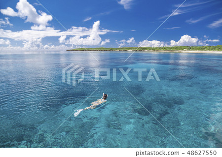 浮潛在珊瑚礁海 48627550