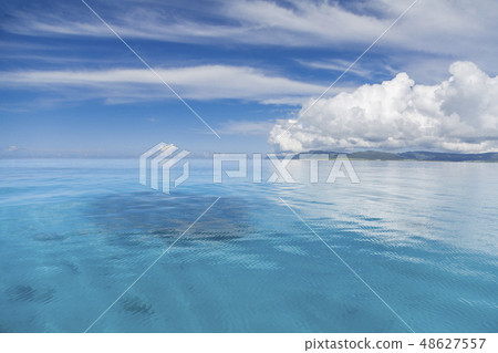 珊瑚礁海洋具有突出的透明度 48627557