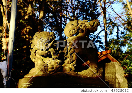 Shimoya天神神社,守護犬,天后時代基金會,Honorari教派, Shimoya天神神社,守護犬,天后時代基金會,Honorari教派, 48628012
