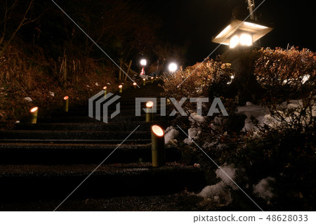 Sakai no Sato“雪花燈塔” 48628033