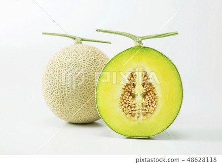 Musk melon melon 48628118