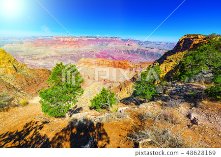 Grand Canyon in Arizona Grand Canyon in Arizona 48628169