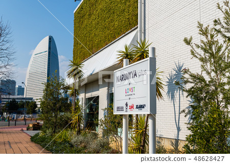 橫濱 未來港 橫濱港 48628427