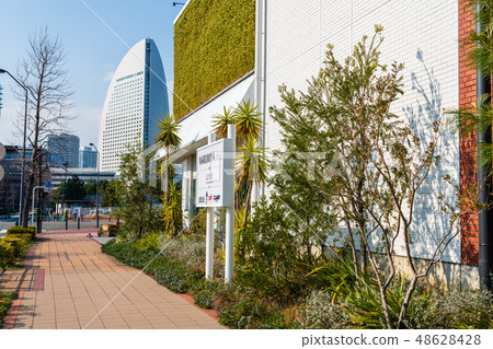 橫濱 未來港 橫濱港 48628428