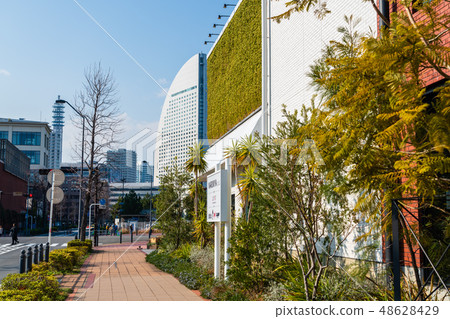 橫濱 未來港 橫濱港 48628429