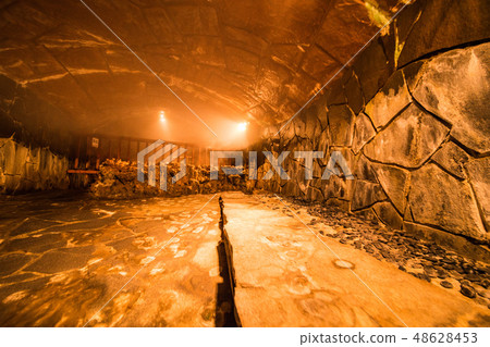 （靜岡縣）熱海跑道內 48628453