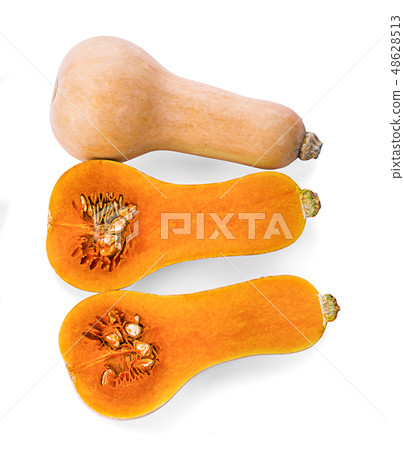 butternut squash isolated on white background 48628513