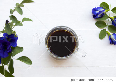 black coffee with blue flower butterfly pea black coffee with blue flower butterfly pea 48628829